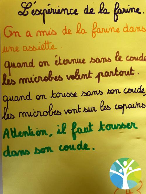 Nos expériences autour des microbes : MSGS A